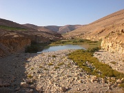 Wadi Wala (6)